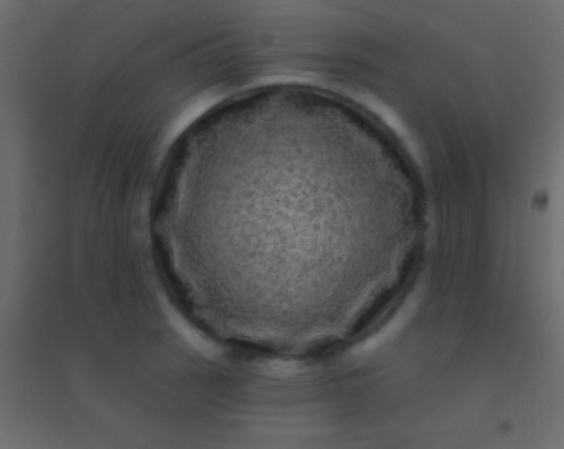 X0000094961137200712131639