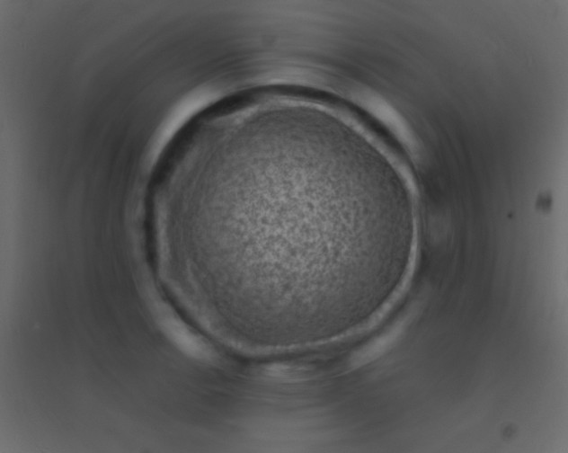 X0000094961138200712131639