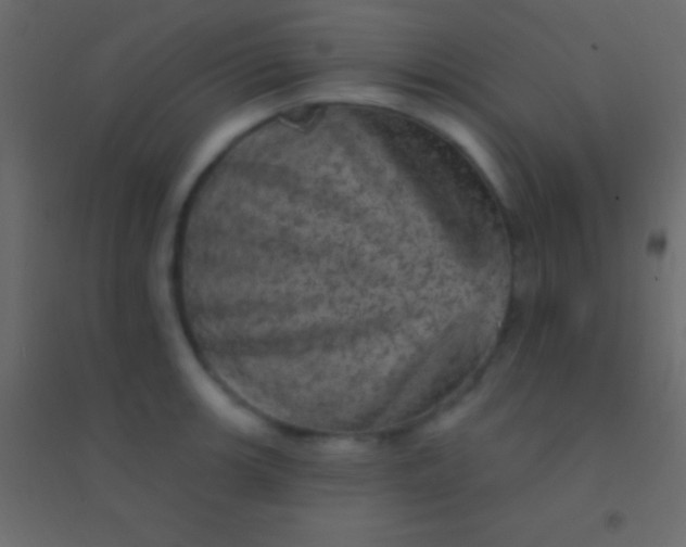 X0000094961139200712131639