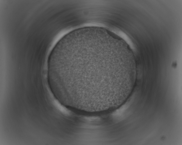 X0000094961140200712131639