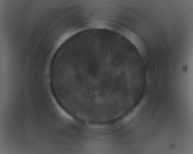 X0000094961141200712131639