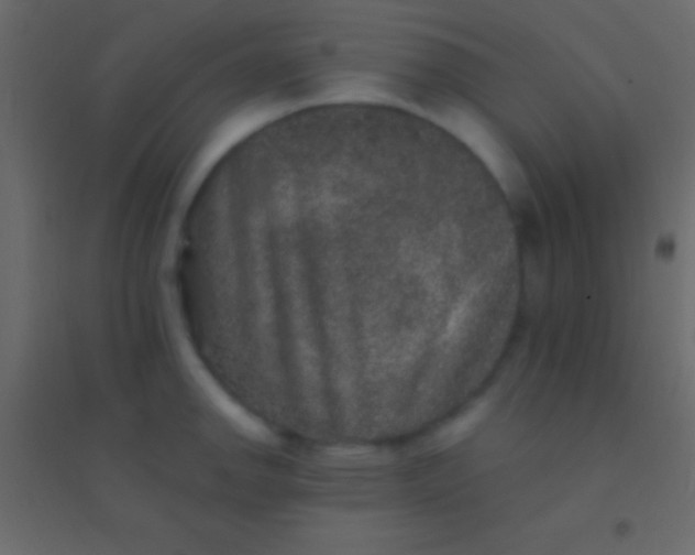 X0000094961142200712131639