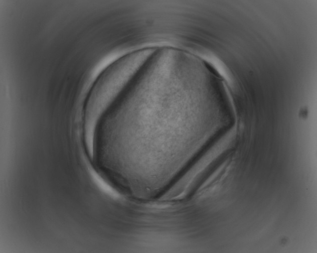 X0000094961143200712131639