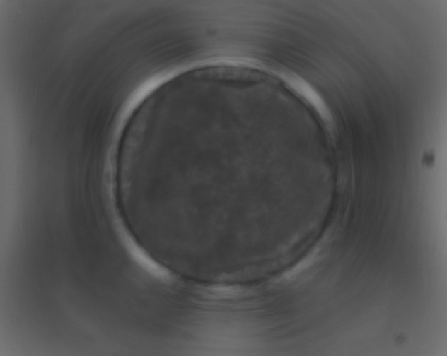 X0000094961144200712131639