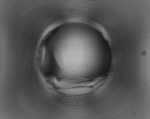 X0000094961146200712131639