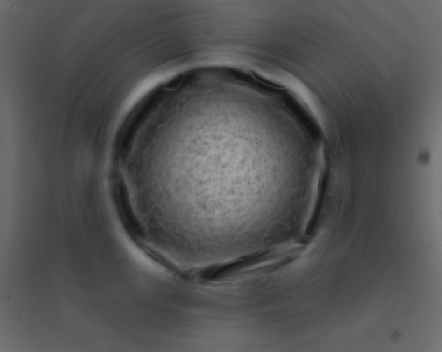 X0000094961147200712131639