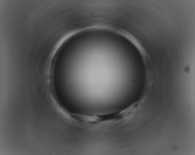 X0000094961148200712131639