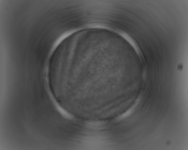 X0000094961149200712131639