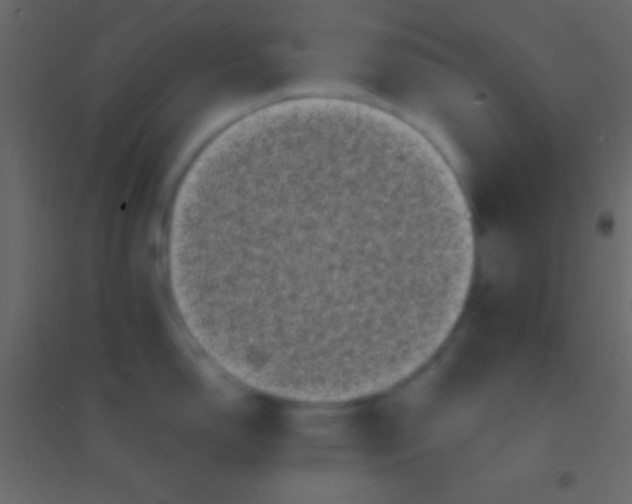 X0000094961150200712131639