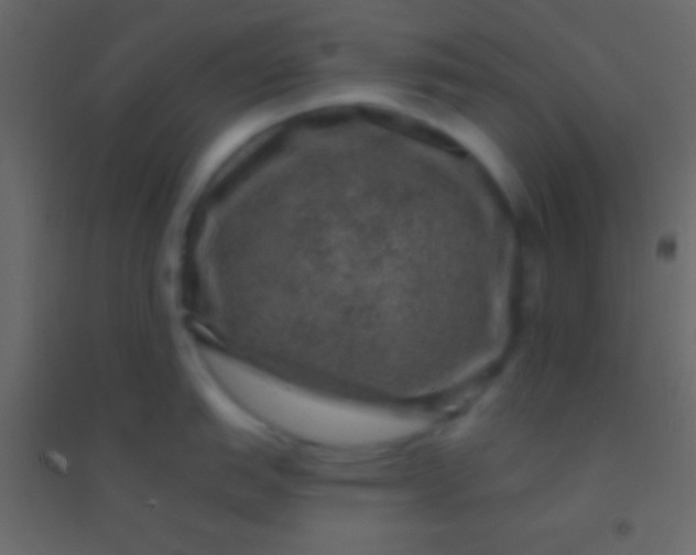 X0000094961151200712131639