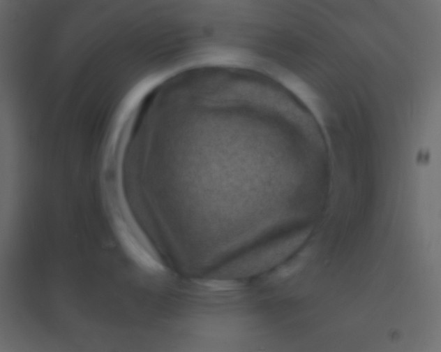 X0000094961152200712131639