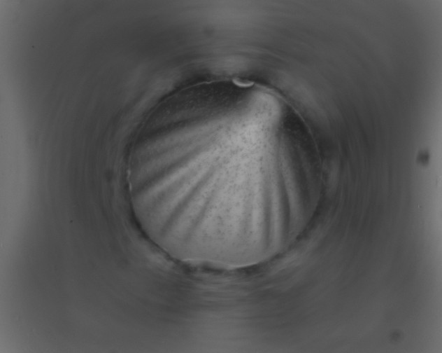 X0000094961153200712131639