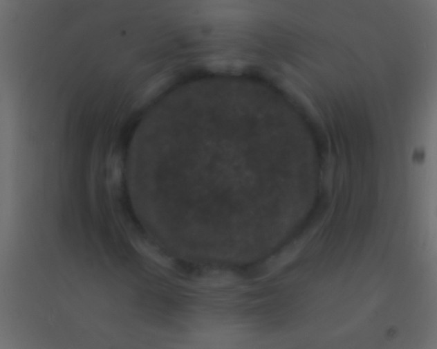 X0000094961154200712131639