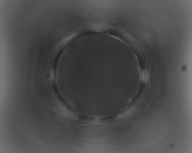 X0000094961155200712131639