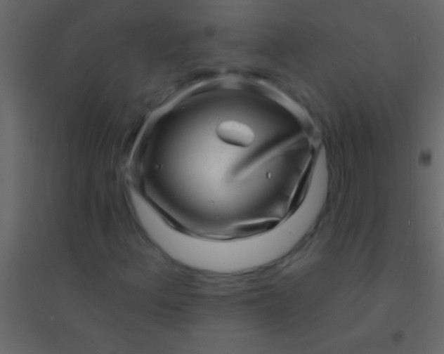 X0000094961156200712131639