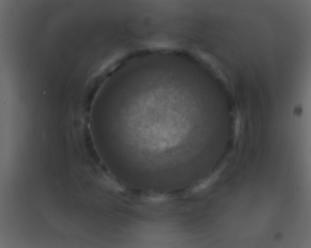 X0000094961157200712131639