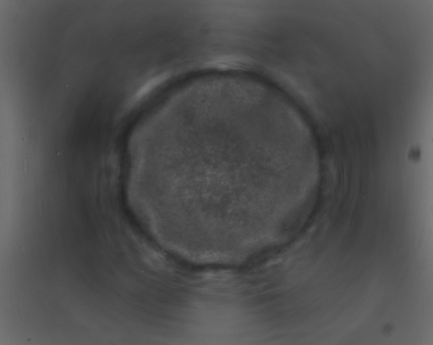 X0000094961158200712131639