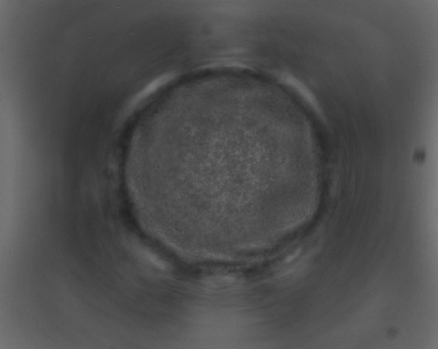 X0000094961159200712131639