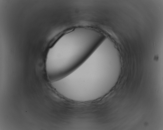 X0000094961160200712131639