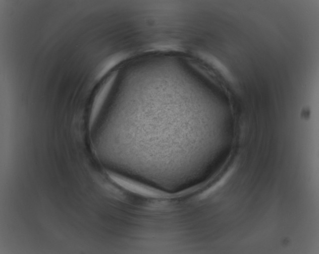 X0000094961162200712131638