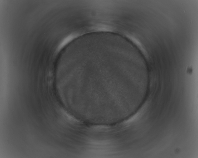 X0000094961163200712131638