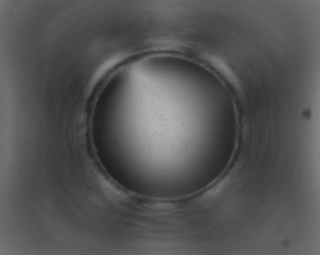 X0000094961164200712131638