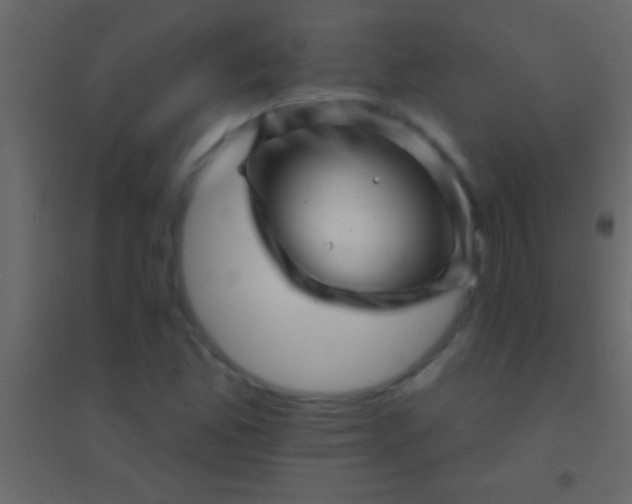 X0000094961165200712131638