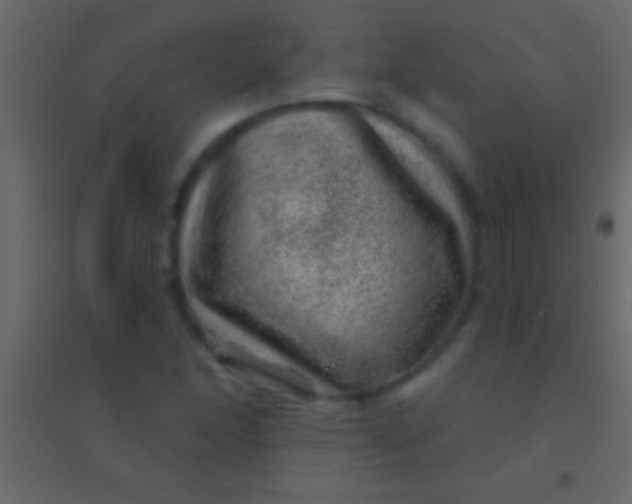 X0000094961166200712131638