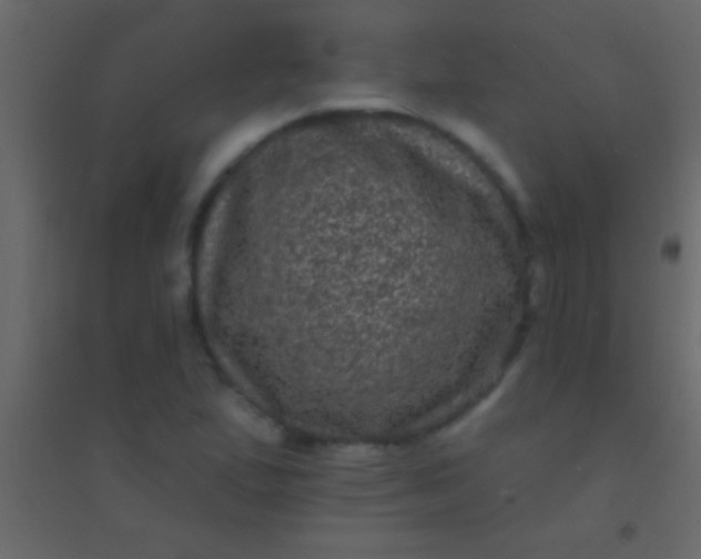 X0000094961167200712131638