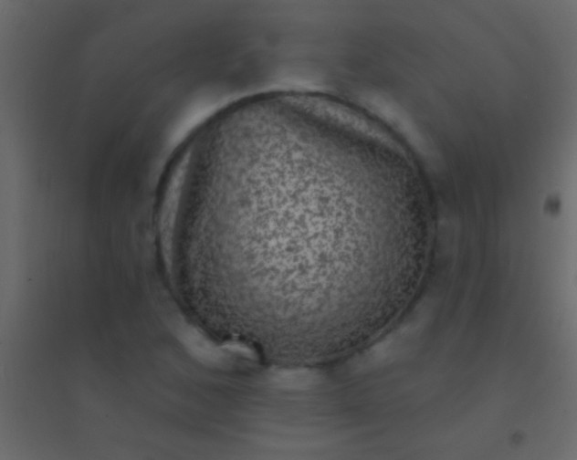 X0000094961168200712131638