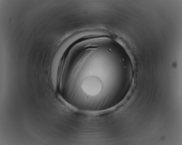 X0000094961169200712131638