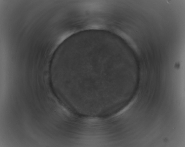 X0000094961170200712131638