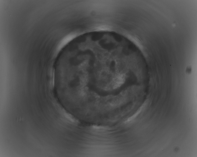 X0000094961171200712131638