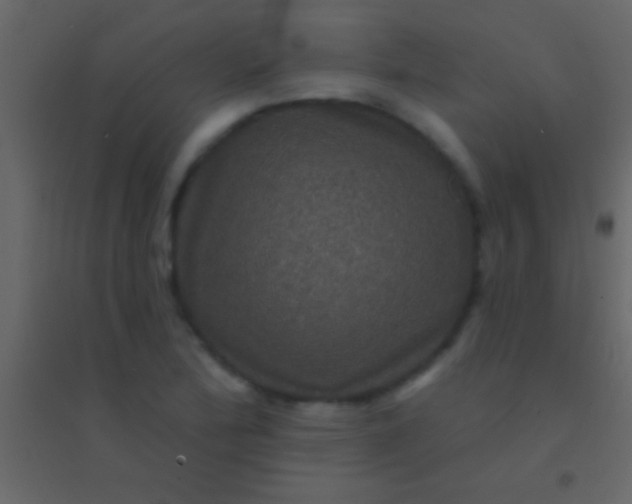 X0000094961172200712131638