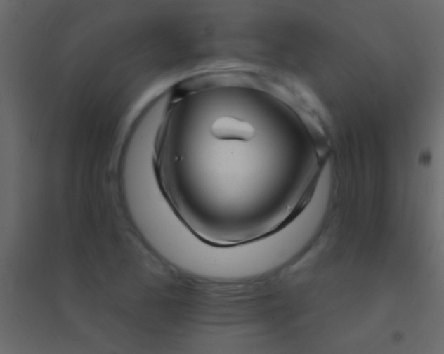 X0000094961173200712131638