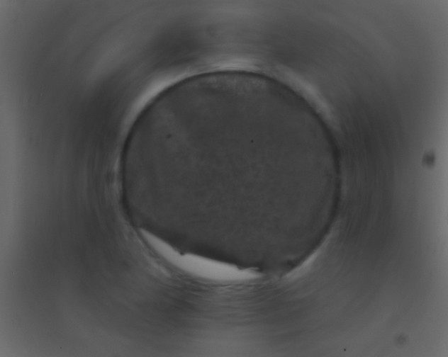 X0000094961174200712131638