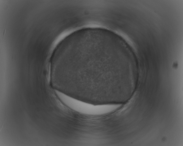 X0000094961175200712131638