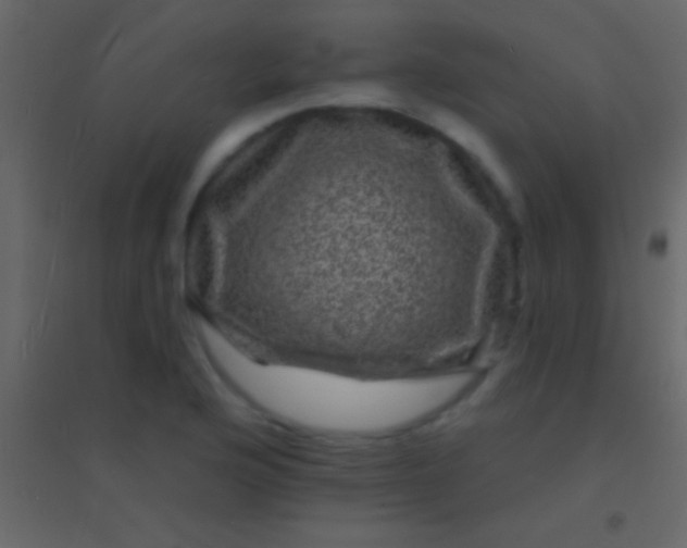 X0000094961176200712131638