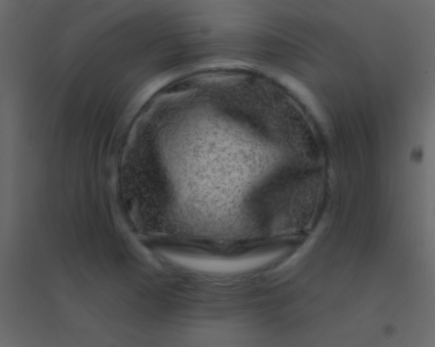 X0000094961177200712131638