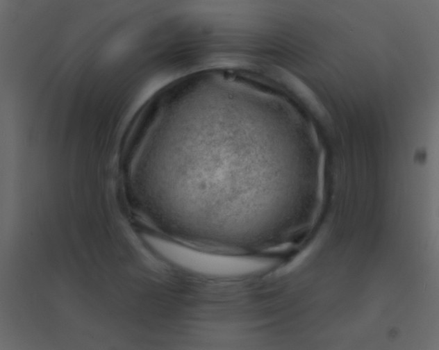 X0000094961178200712131638