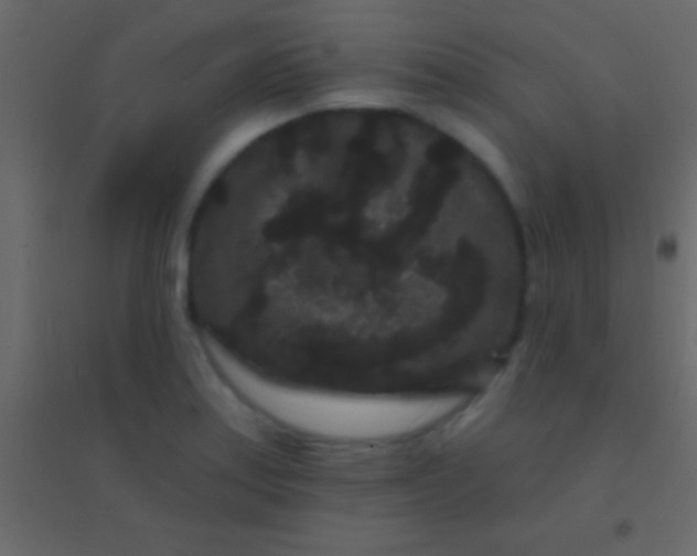 X0000094961179200712131638