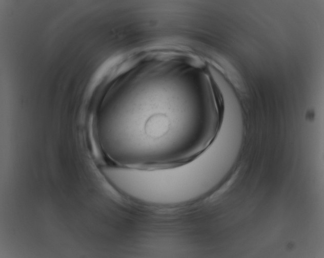 X0000094961180200712131638