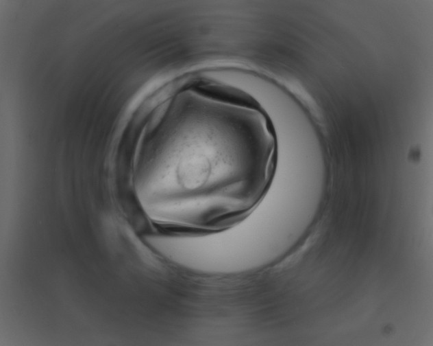 X0000094961181200712131638