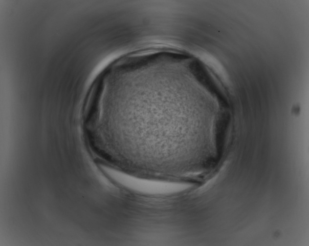 X0000094961182200712131638