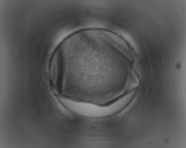 X0000094961184200712131638