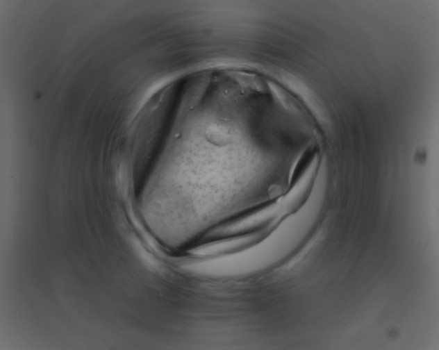 X0000094961185200712131638