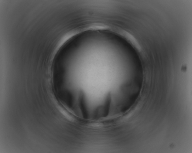 X0000094961186200712131638