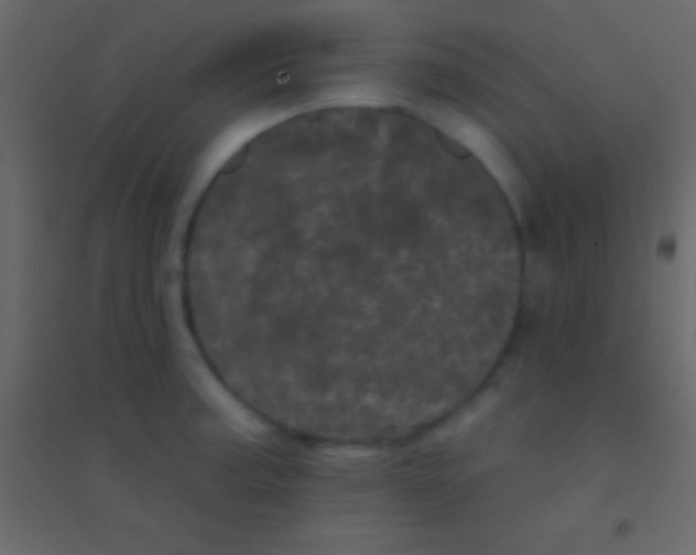 X0000094961187200712131638