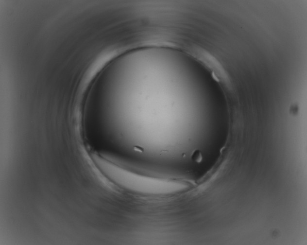 X0000094961188200712131638