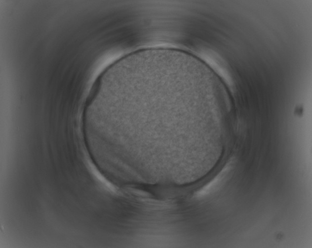 X0000094961189200712131638